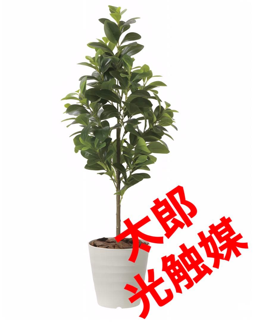 光触媒　人工観葉植物　フェイクグリーン　フレッシュマネーツリー1.15m