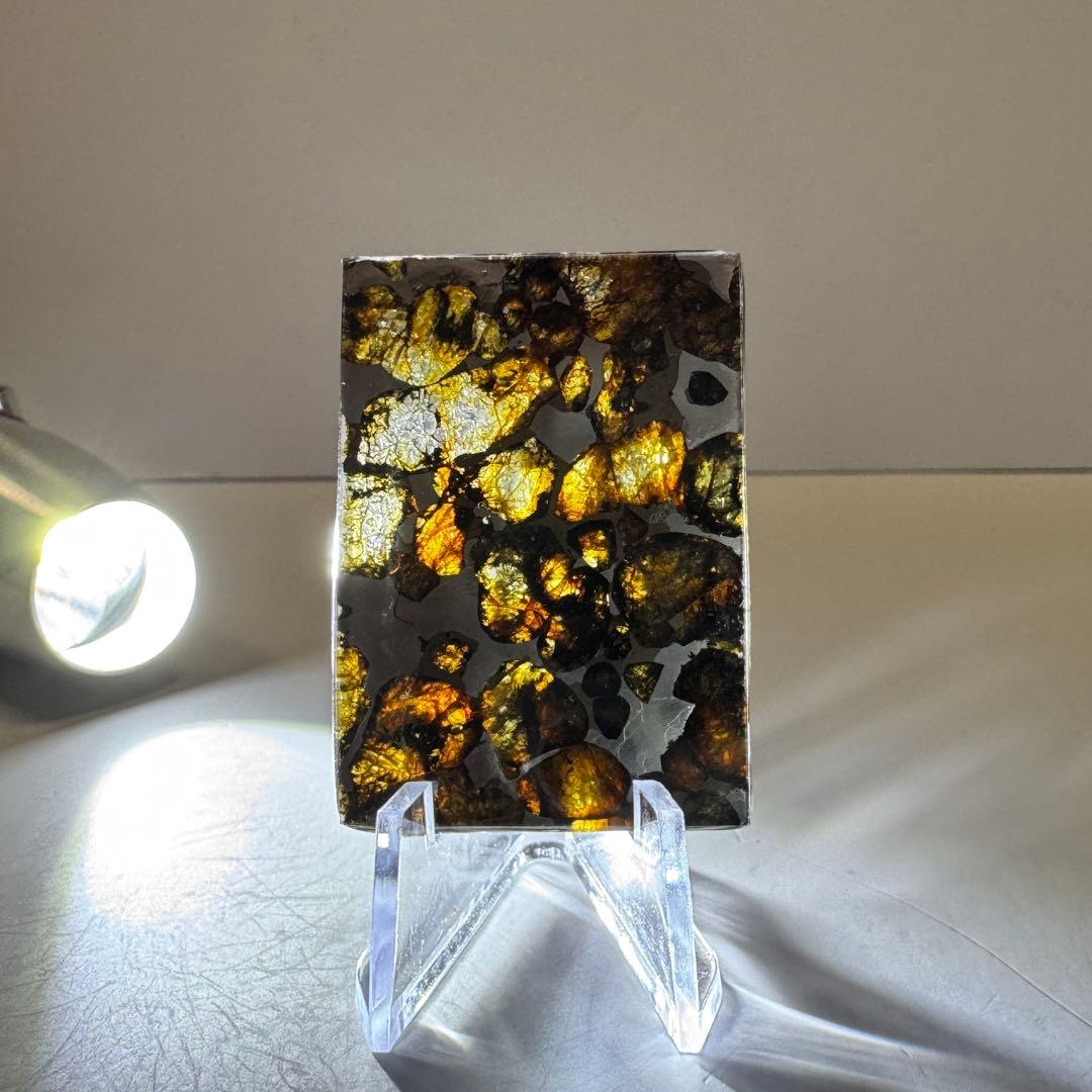 セリコ　パラサイト隕石　高品質　スライス標本　7.6g メテオライト　宇宙パワー