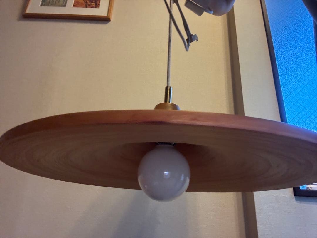 9/14まで‼︎ 山田照明 ブナコ ペンダントライト