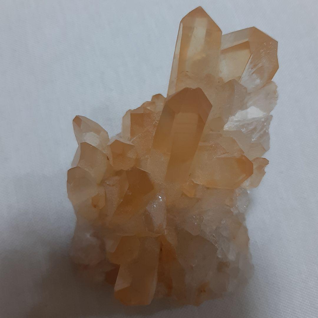 ゴールデンヒーラー