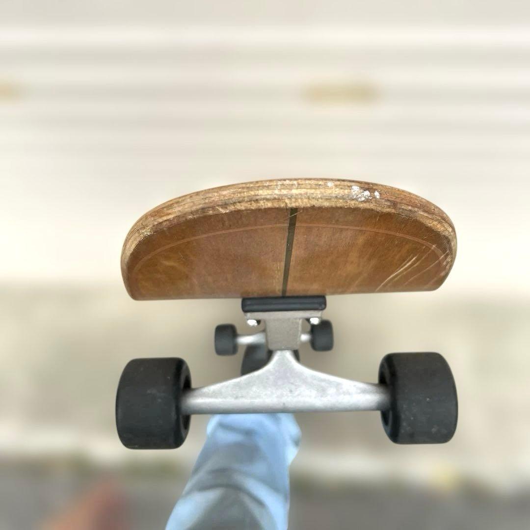 CARVER ロングスケートボード hotdogger?