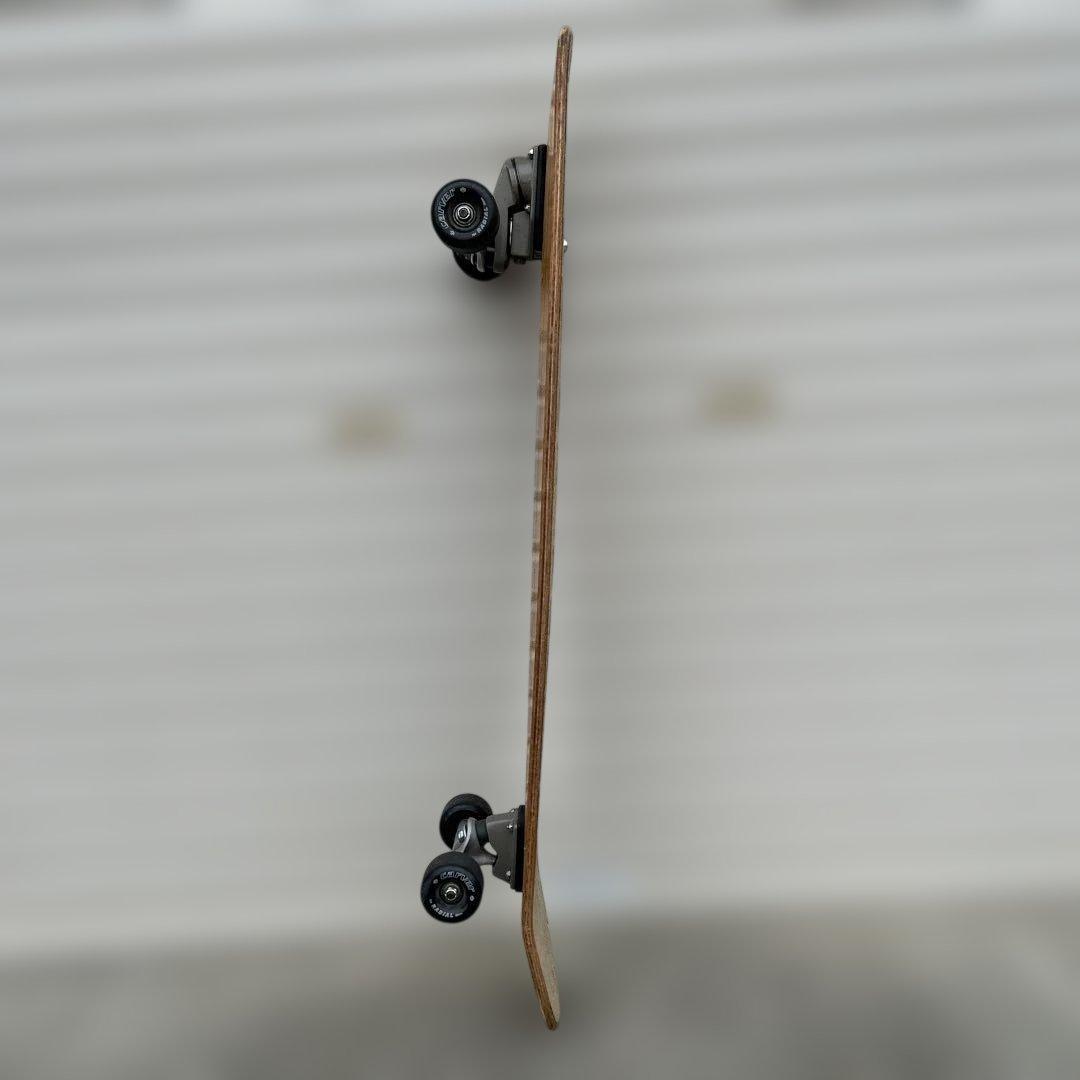 CARVER ロングスケートボード hotdogger?