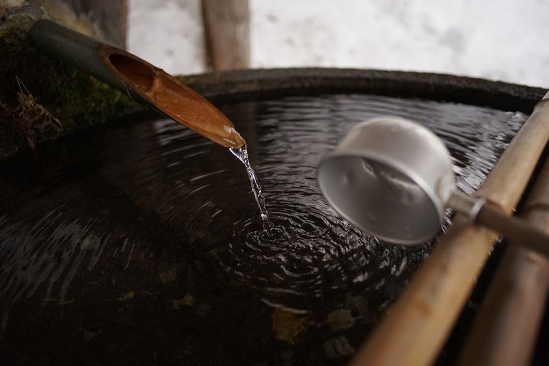 作例付き　Nikon Ai 28mm F2.8 管mpr NIKKOR