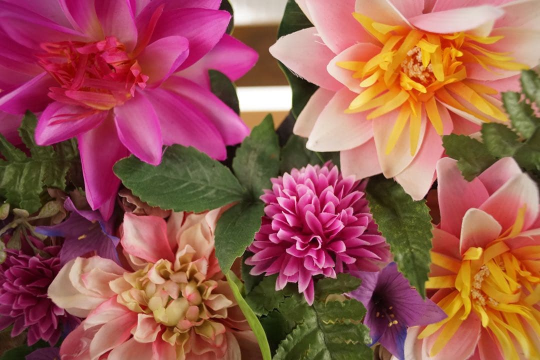 作例付き　Nikon Ai 28mm F2.8 管mpr NIKKOR