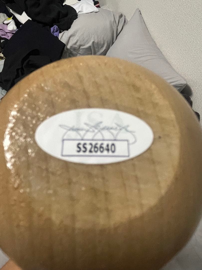 貴重JSA鑑定品証明書付きVLAD GUERRERO JR サインバット