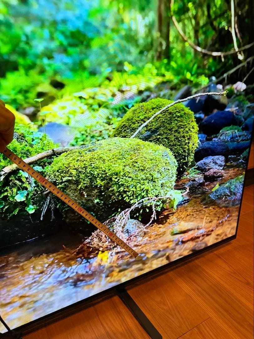 【p様】SONY 2019年製 65型 BRAVIA KJ-65A9G