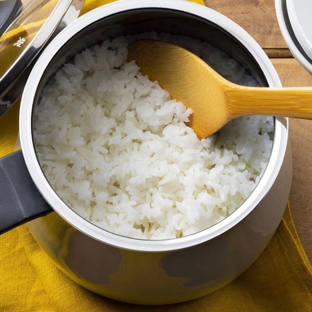 値下！WMF Fusiontec ミネラルマルチポット プラチナム