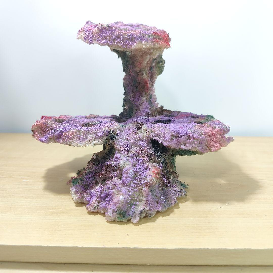 プラグ穴付き アク抜き不要人工ライブロック 海水水槽 レプリカ コーラルフラグ6