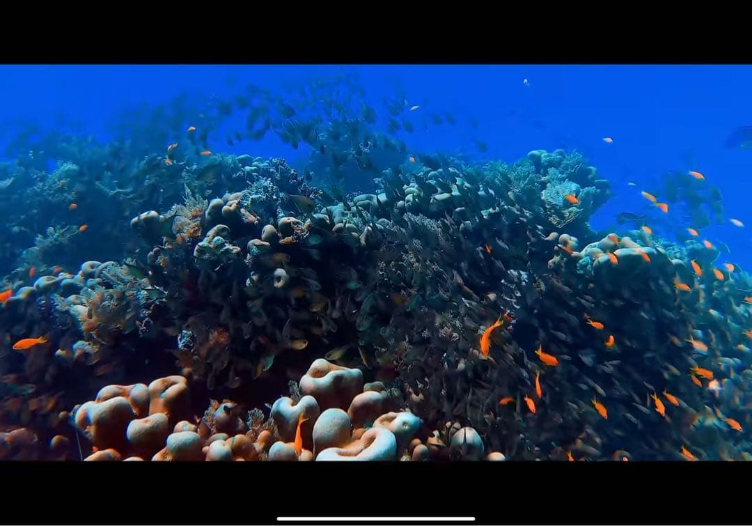 iPad Pro 11インチ 第2世代 バッテリー92% 良い