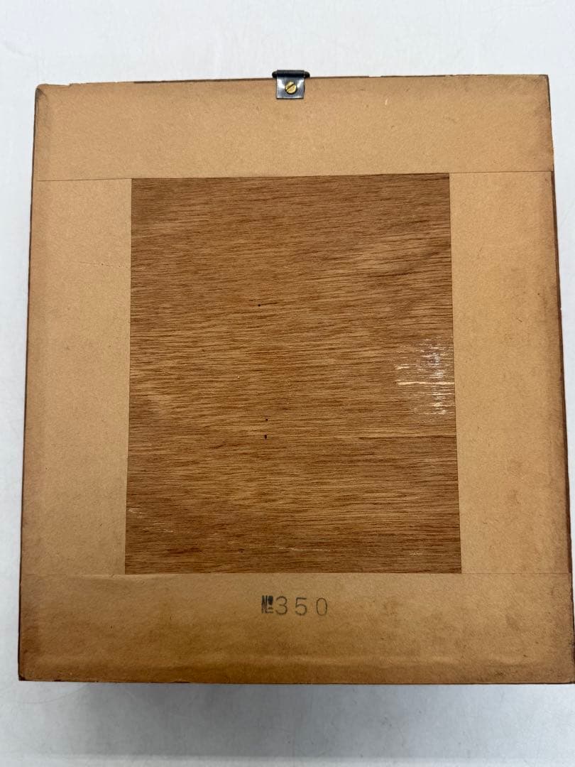 カブトムシ　昆虫標本　額装　送料込み251211