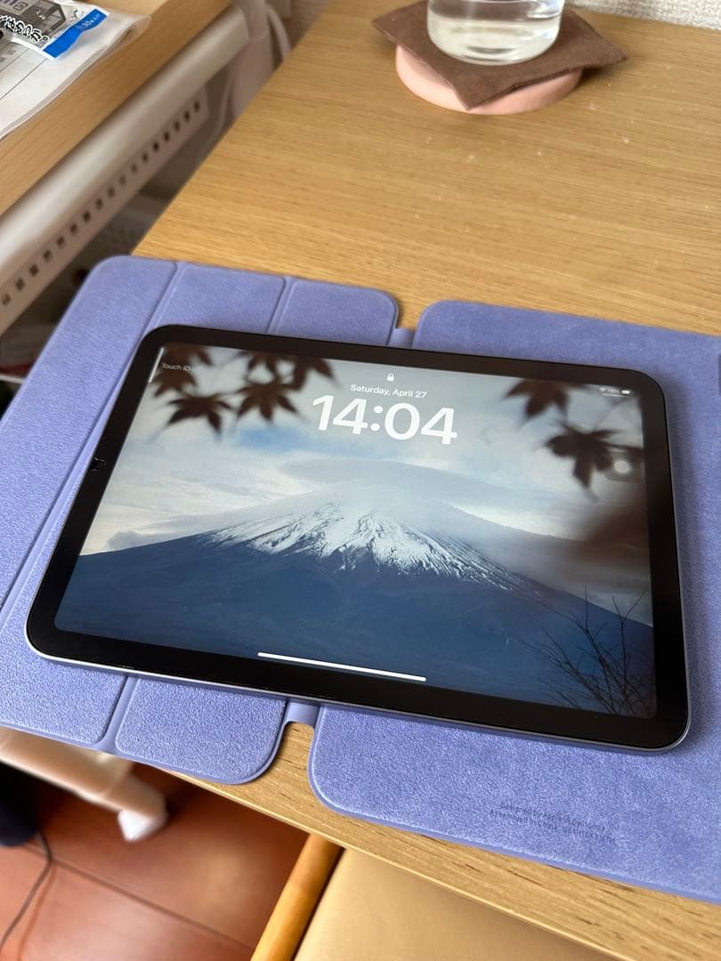 Apple iPad mini (256GB 第６世代 Wi-Fi）