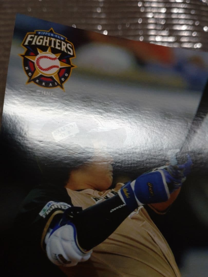 大谷翔平 2014 ハイライトフォト No.300 日本ハム 球団公式写真