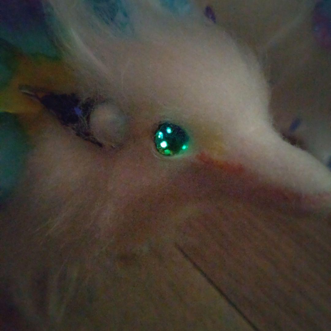 南風妖精龍アートドール ドラゴン龍ぬいぐるみ artdoll Dragon