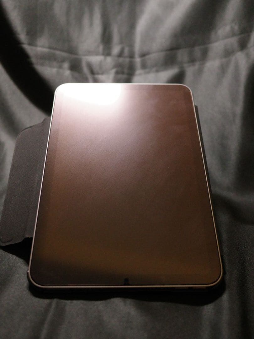 ipad mini a17 バッテリー100% AppleCare残1年5ヶ月